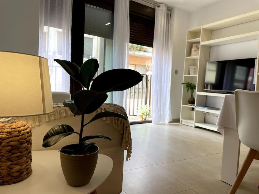 Apartmán Taima Flats 3 Alicante Exteriér fotografie